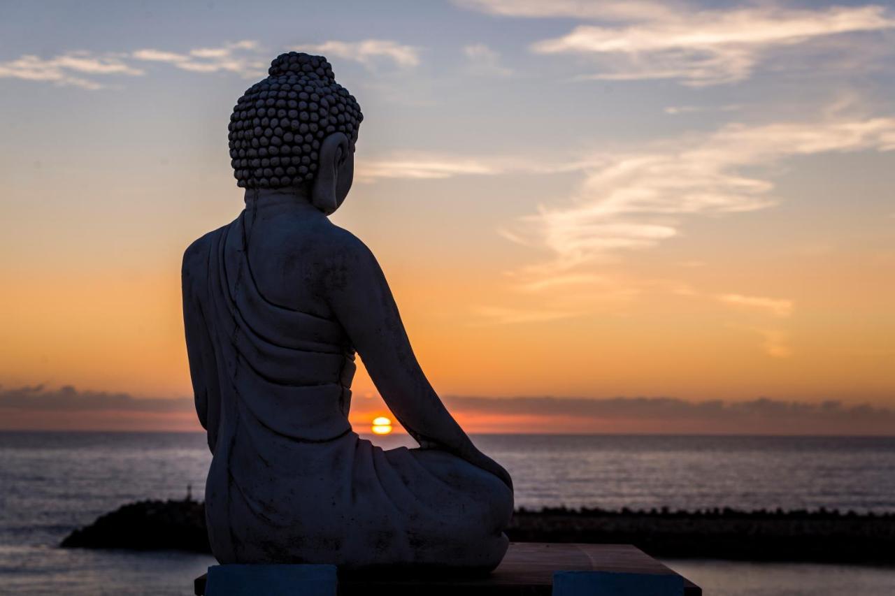 Sandhi House - Yoga & Wellness 埃里塞拉 外观 照片
